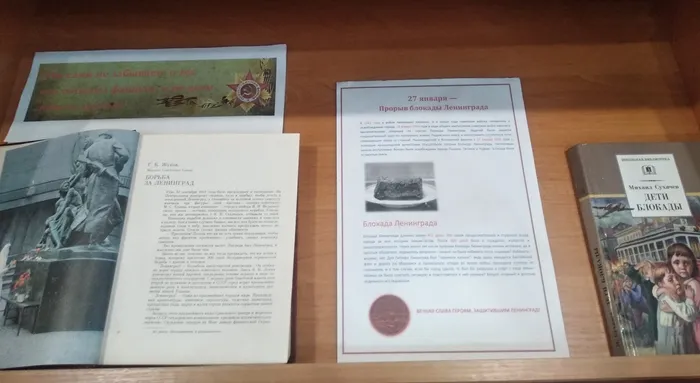 IMG_20210131_120004_HHT